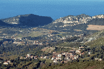 Patrimonio