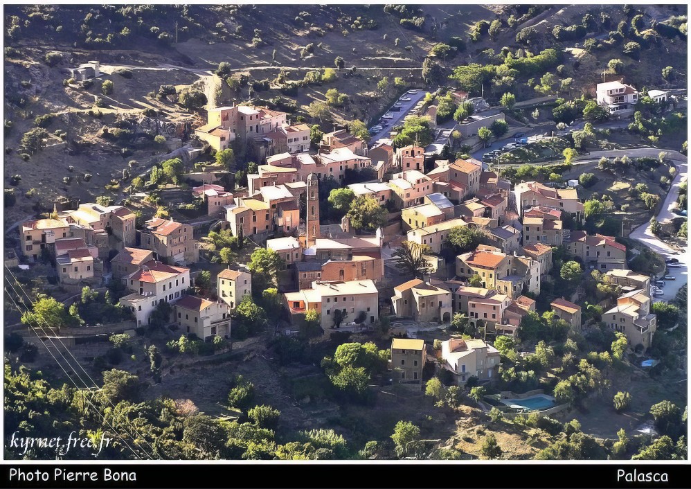 Palasca