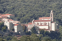 Petreto Bicchisano