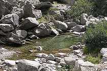 Restonica