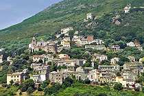 Roglianu