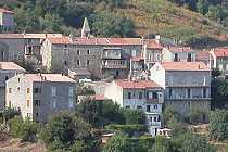 Sollacaro