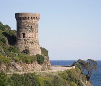 Tour génoise