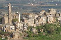 Venzolasca