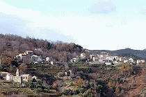 Zalana